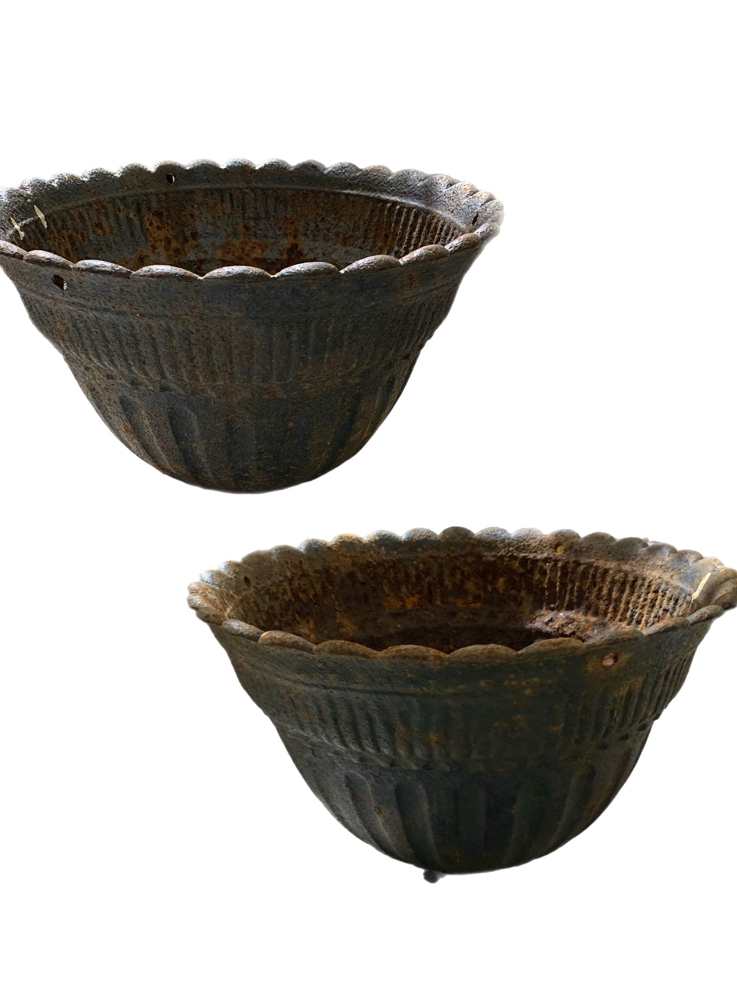 19th Century Cast Iron Jardineres