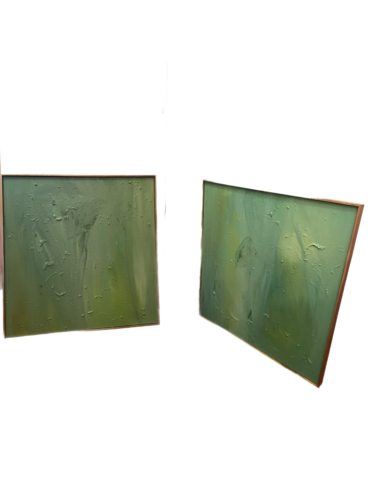 New Orleans Artist Shelley Aucoin Green Abstracts