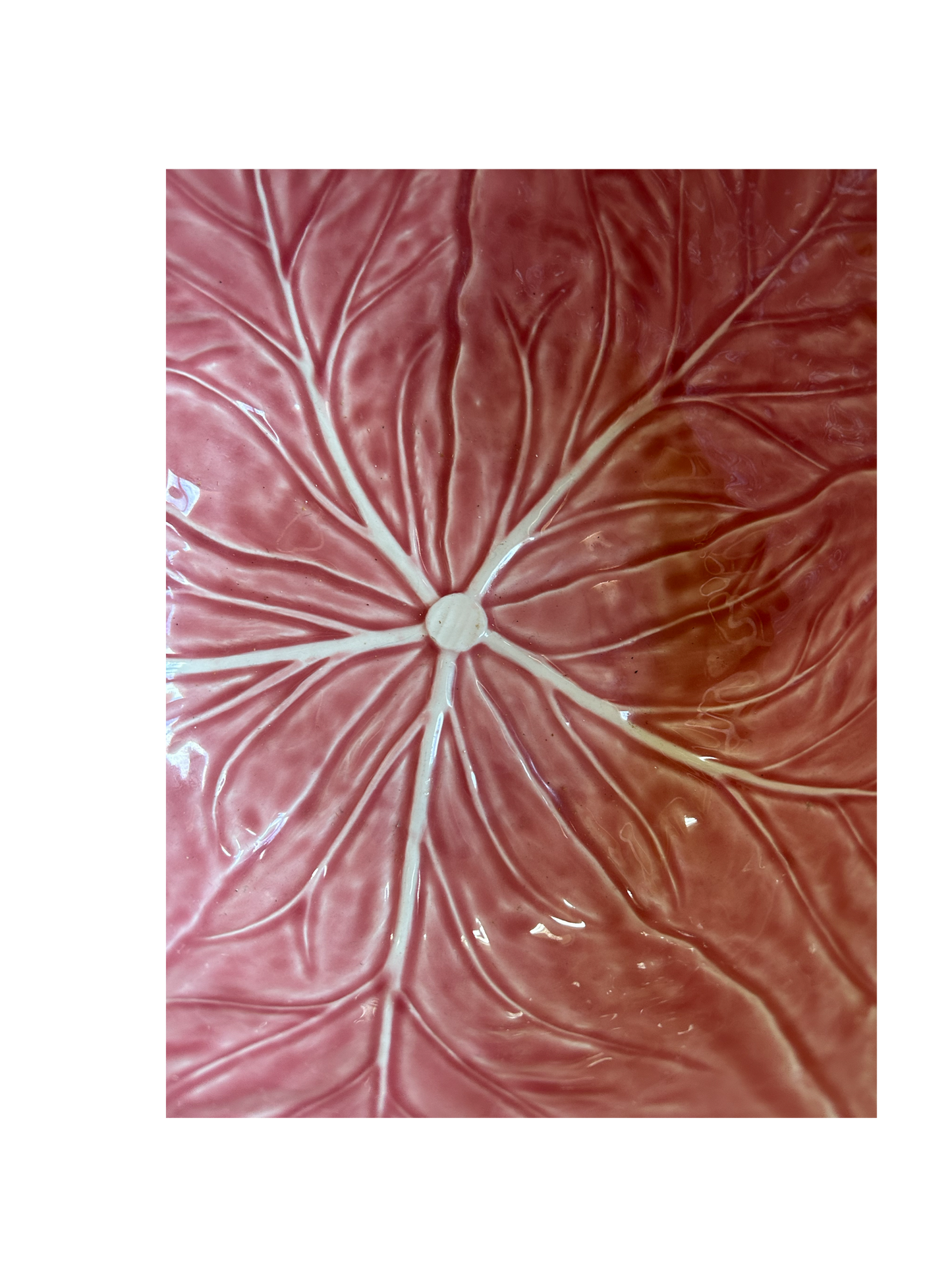 Pink Pinheiro Cabbage Bowl