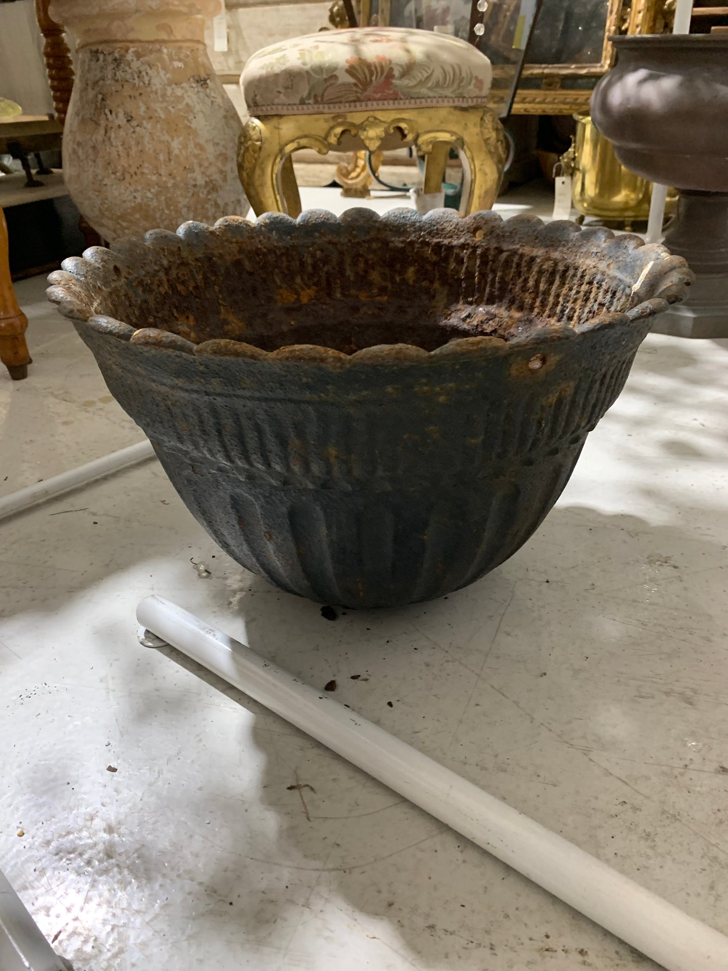 19th Century Cast Iron Jardineres