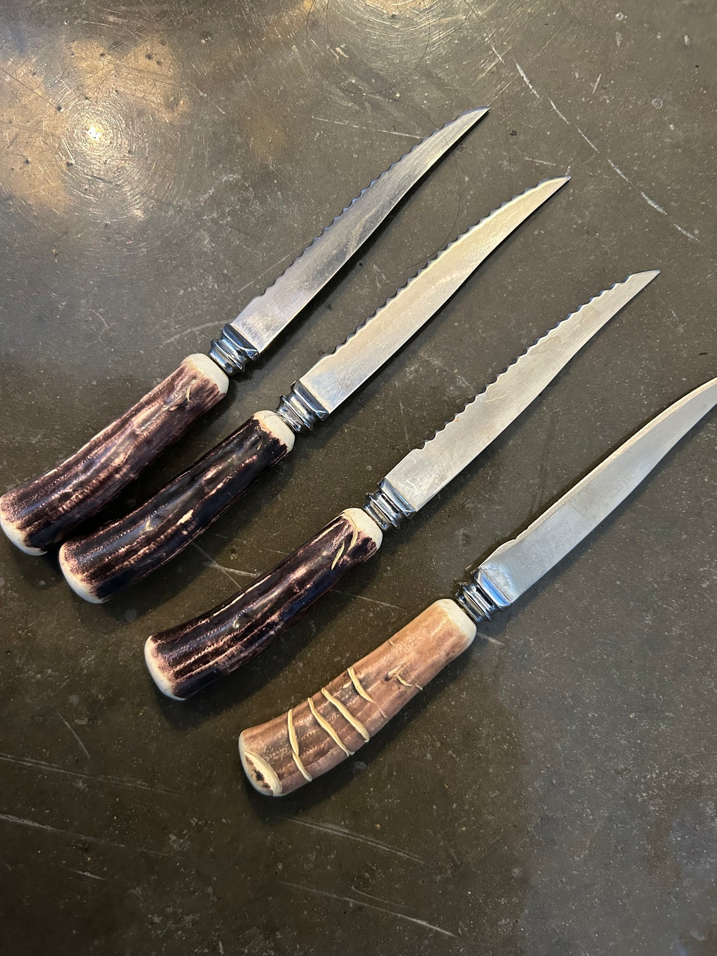 (5) Sheffield Horn Knives