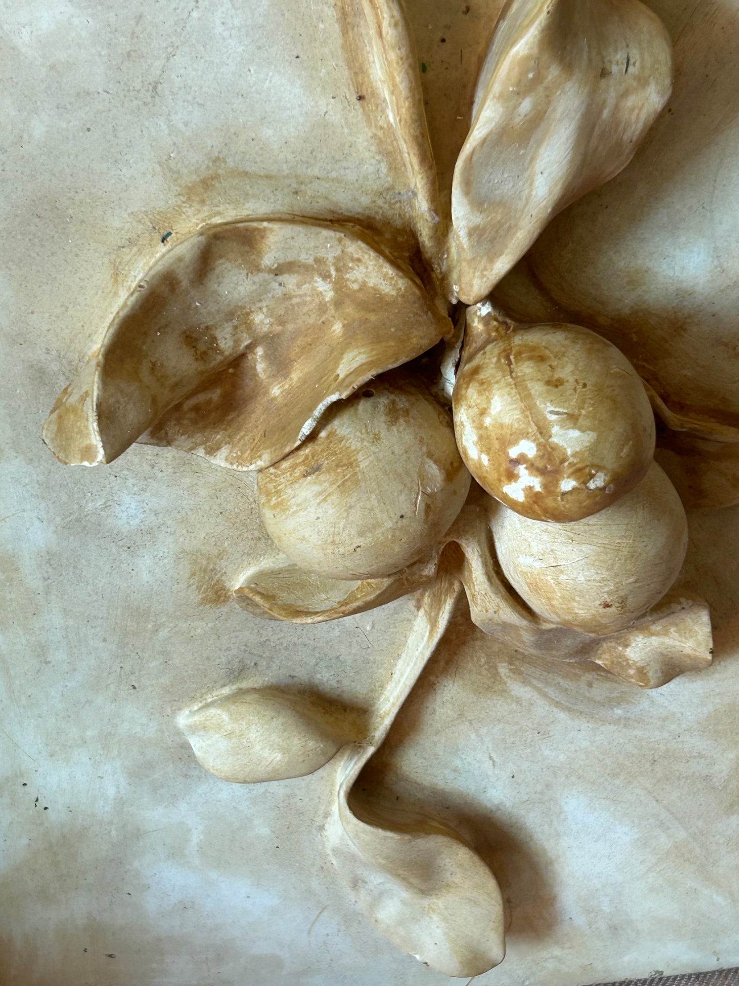 Vintage French Fruit Plaster Relief