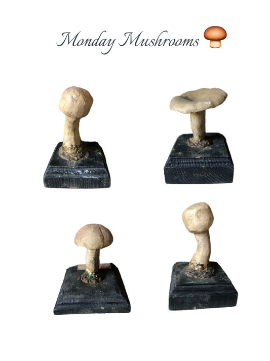 Antique French Wooden Mushroom Model